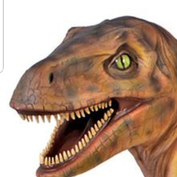 Meet your Posher, Riley - Picture 1 of 1